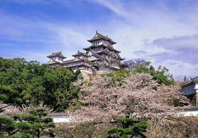 2020年武漢大學(xué)MEM招生簡(jiǎn)章 2020年武漢大學(xué)MEM招生簡(jiǎn)章