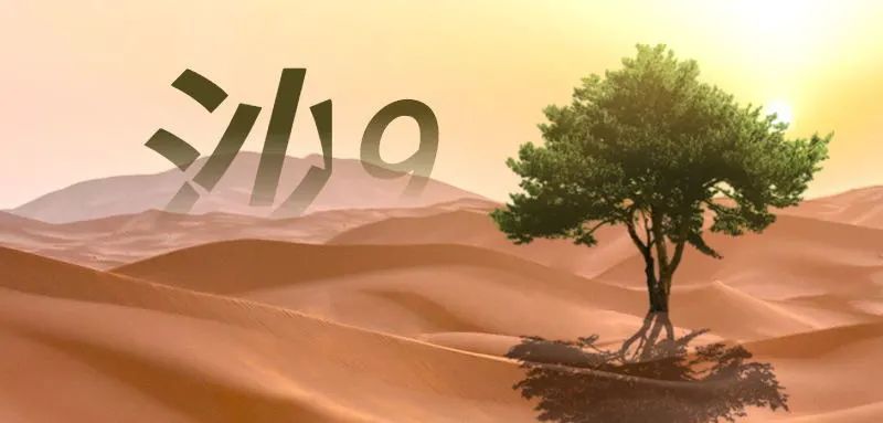 沙9來了｜70km的騰格里大漠，只有走過，才是英雄